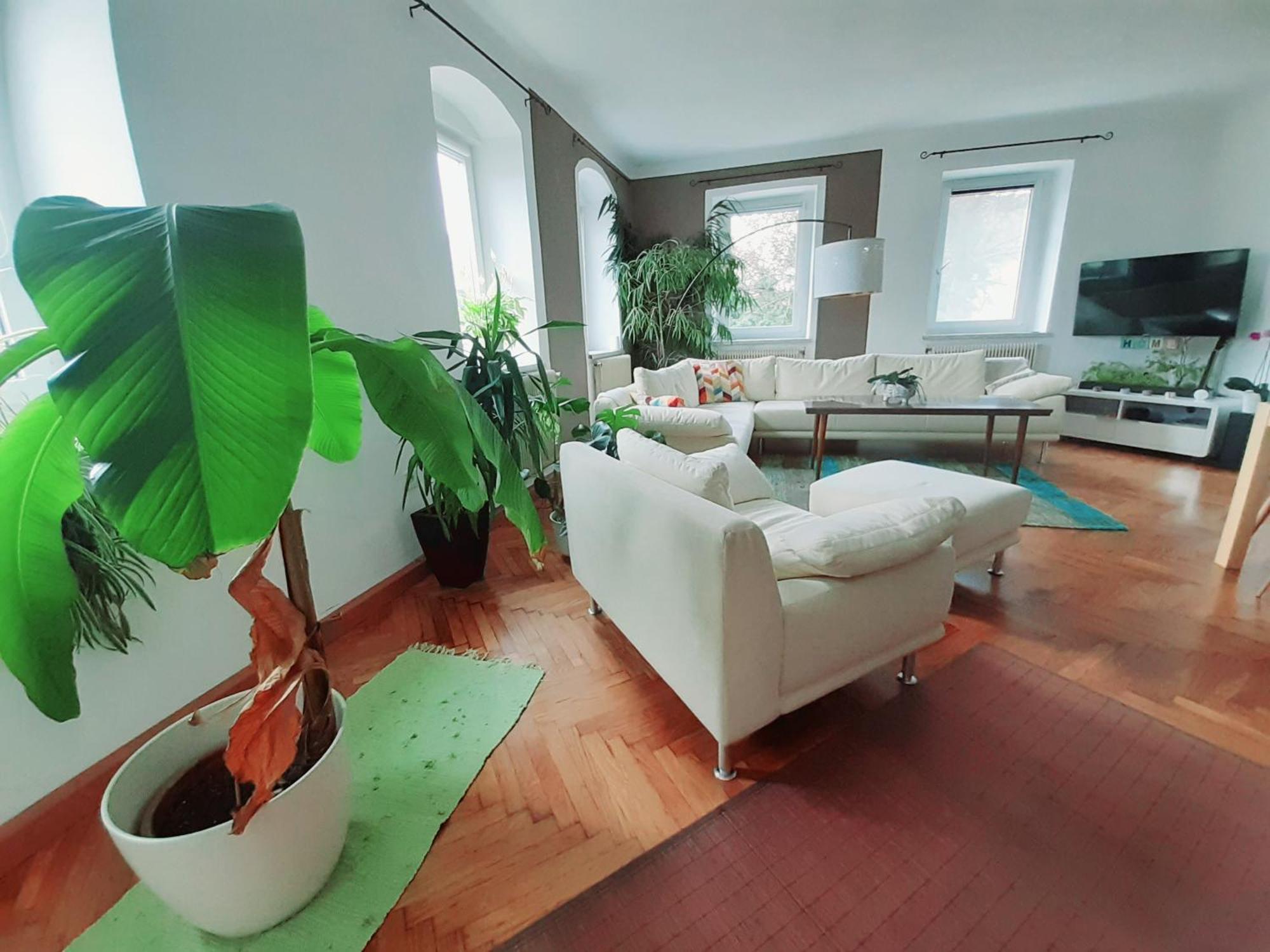 Schoene Altbauwohnung Auf Dem Land Kallham Extérieur photo